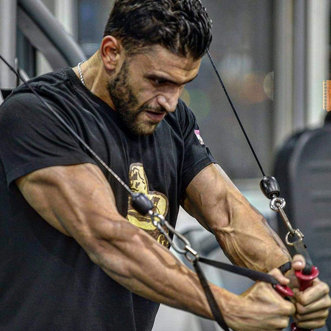 Warriors Zone Academy